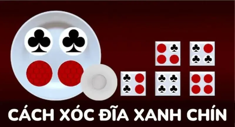 Xóc đĩa xanh chín là gì? 